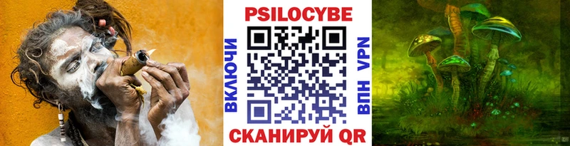 Псилоцибиновые грибы GOLDEN TEACHER omg tor Ленск
